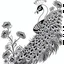 Placeholder: white, A peacock white flower borders, line art, white background, outline, with images neatly contained within the background, just black and white color, full body, no color. Different view