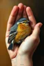 Placeholder: Bosch paint style in oil painting style of a bird peacefully sleeping in an open hands , The bird fathers harmonizes with the scene, that blend with the warmth of the hands , contrasting with natural hands skin
