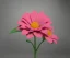 Placeholder: Flower 3d rendering