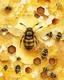 Placeholder: honey yellow background and honeycombs watercolor paintedhive bee and honeycomb on the yellow background, realistic photo