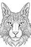 Placeholder: coloring book image of a lynx head