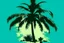 Placeholder: palm graphic