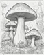 Placeholder: coloring book page, Generate mushroom world. clean and simple line art