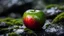 Placeholder: Close up of an apple fruit on a wet rock,moss,high details,dark place