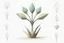 Placeholder: concept art of six low poly stylized alien dry single leaf plant on a neutral background. Strange fictional extraterrestrial flora with unusual shapes