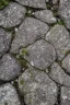 Placeholder: small beautiful flowers grow out of cracks in the grey stones and rocks