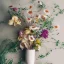 Placeholder: delicate arrangement of pressed flowers, beautiful composition, aesthetic layout