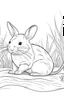 Placeholder: outline chinchillas on land, coloring pages, white background, sketch style, full body, only use online, style, clean line art, white background, no shadows a clear and well outline