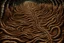 Placeholder: A brownish bronze underground centipede colony painted by MC Escher
