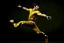 Placeholder: bruce lee,photo realism,in,his,prime,doing,flying,kick