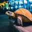 Placeholder: turtle in the amusement park in the middle of the night