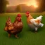 Placeholder: chicken full body field background