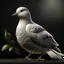 Placeholder: photorealistic dove, holding an olive branch