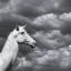 Placeholder: Jesus Christ, white horse, clouds