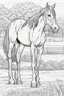 Placeholder: horse in paddock coloring page