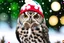 Placeholder: Owl wearing a Christmas hat