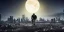 Placeholder: A high tech Soldier walking on the post apocalypse city, night , full moon , realistic , high resolution , HD , 1920pX1080p , dark