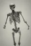 Placeholder: a blurry, distressing, haunting image of a fracturing skeleton, realistic