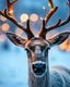 Placeholder: realistic, real, Reindeer, has Christmas lights on his antlers..