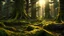 Placeholder: 4k image of a healthy forest, blackish, giant trees, intricate details of moss, long-distance shot, cinematic sunset, ancient times, holy
