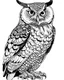 Placeholder: real massive big Owl, coloring page easy to color, full body (((((white background))))), only use an outline., real style, line art, white color, clean line art, white background, Sketch style