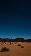 Placeholder: The desert and a dark sky with bright stars