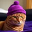 Placeholder: red cat wearing a purple hat