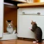 Placeholder: cat finds mouse under cupboard