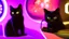 Placeholder: Cute black cat sitting on a gaming chair, in front of a gaming PC table, in a dark room with purple lights and gaming posters, atmospheric, gorgeous, realistic