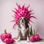 Placeholder: A dog sitting in front of a dragon fruit on a light background for removal