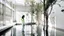 Placeholder: Woman in the foreground dressed in white in a bright white minimalist interior courtyard where the murmur of water whispers and the shadows of some leaves of nearby plants sway