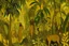 Placeholder: A brown jungle with bananas designed in cave paintings painted by Paul Gauguin