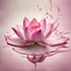 Placeholder: A beautiful pink lotus flower dropped into the creamy texture of a splash of milk