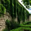 Placeholder: un muro de grandes dimensiones, medieval, con plantas colgantes, enredaderas y árboles. Boceto a pluma, blanco y negro. HD