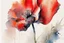 Placeholder: abstract watercolour poppy in the style of jean haines