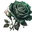 Placeholder: dark style, dark green rose with white lace and emeralds, Trending on Artstation, {creative commons}, fanart, AIart, {Woolitize}, by Charlie Bowater, Illustration, Color Grading, Filmic, Nikon D750, Brenizer Method, Side-View, Perspective, Depth of Field, Field of View, F/2.8, Lens Flare, Tonal Colors, 8K, Full-HD, ProPhoto