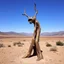 Placeholder: odd sculptures made of burnt wood in a wasteland