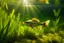 Placeholder: perch fish swimming in the water between aquatic plants, sun rays visible in the water