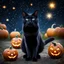 Placeholder: black cat on Halloween dancing with pumpkins in the photo of the starry sky