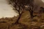 Placeholder: night, dark fantasy influence, philosophic and inmaterial influence, rocks, dry trees, flowers, distant house, friedrich eckenfelder, ferdinand georg waldmuller, and auguste oleffe paintings