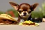 Placeholder: Chihuahua eating a taco