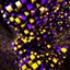 Placeholder: a julia set 3d fractal made of small metallic random color cubes