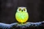 Placeholder: owl ball
