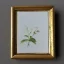 Placeholder: tiny oil painting of single long stem pressed flower, tiny white canvas, tiny white modern frame, melancholy, tender, moody, vintage, delicate arrangement, beautiful composition, etsy, aesthetic layout, plain solid white background