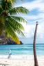 Placeholder: tropical beach by andrea del sarto