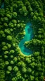 Placeholder: award winning top view realistic photography of an image delightful summer day at the natural Maldives forest, rivers, orange and pine trees. Incredibly detailed, ultra high resolution, 8k, great depth of field, clear images, beautiful light, warm light, sharp edges