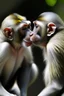 Placeholder: monkeys kissing