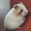 Placeholder: Karen hamster