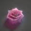 Placeholder: Crystal Rose