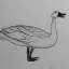 Placeholder: line drawing of a snow goose